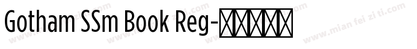 Gotham SSm Book Reg字体转换